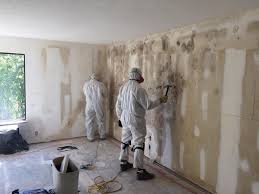 Why You Should Choose Our Mold Remediation Services in Bristol, TN